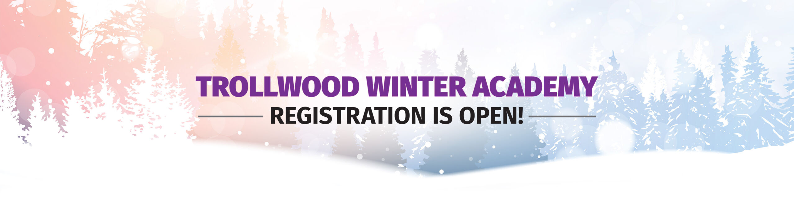 Trollwood Winter Academy Registration is Open